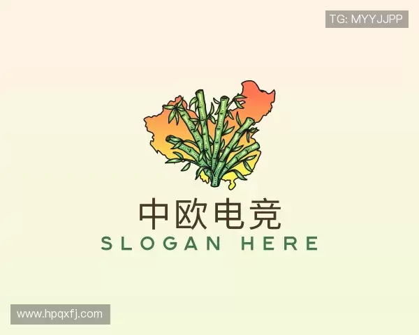 了解中欧电竞